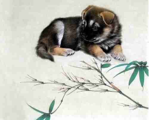 2018属狗的人本命年好运微信头像