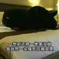 2018年升职加薪事业高升微信头像