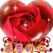 2018年感恩的心微信头像