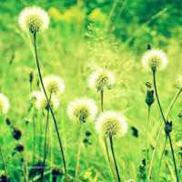 2018年最新微信头像图片