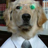 2018年最新微信头像图片