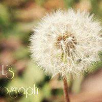 2018年最新微信头像图片