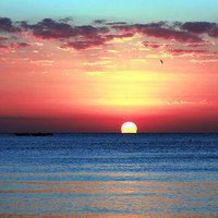 2018年最新微信头像图片