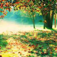 2018年最新微信头像图片