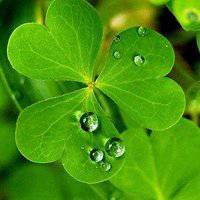 2018年最新微信头像图片