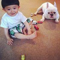 2018年狗年小宝宝微信头像