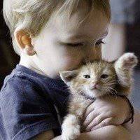 2018年狗年小宝宝微信头像