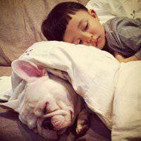 2018年狗年小宝宝微信头像