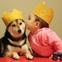 2018年狗年小宝宝微信头像