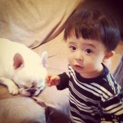 2018年狗年小宝宝微信头像