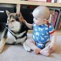 2018年狗年小宝宝微信头像