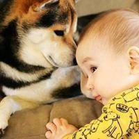 2018年狗年小宝宝微信头像