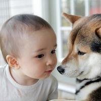 2018年狗年小宝宝微信头像