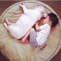 2018年狗年小宝宝微信头像