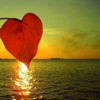 2018年狗年风景微信头像