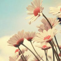 2018年狗年风景微信头像