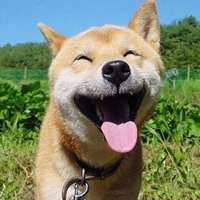 2018年狗年风景微信头像