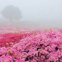 2018年风景带字微信头像