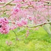 2018年风景带字微信头像