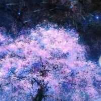 2018年风景带字微信头像