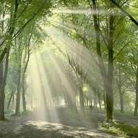 2018年风景带字微信头像