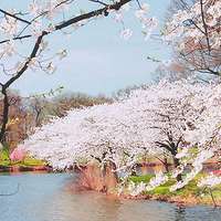 2018年风景带字微信头像