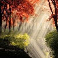 2018年风景带字微信头像