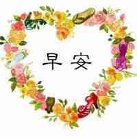 2018微信头像图片配文字