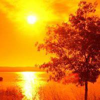 2018新年温暖温馨微信头像