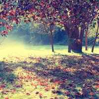 2018新年温暖温馨微信头像