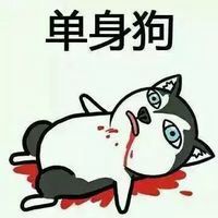2018最新单身狗头像