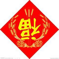 2018狗年中国红微信头像