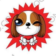 2018狗年中国红微信头像