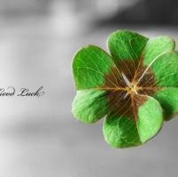 2018狗年吉祥平安头像