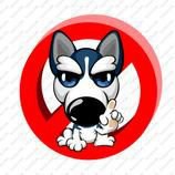 2018狗年本命年微信头像