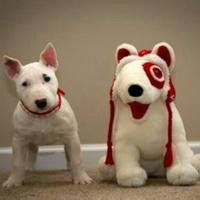 2018猫狗情侣头像