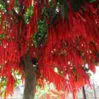 2018祝福祈福美好文字微信头像