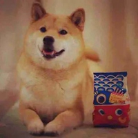 82年属狗幸运微信头像