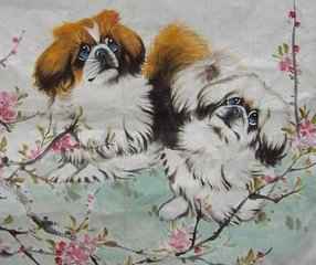 82年属狗幸运微信头像