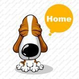 使用人数多的狗年微信头像