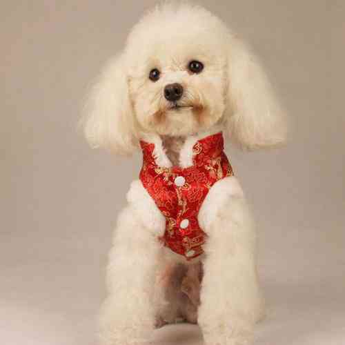 创意个性2018狗年图片头像