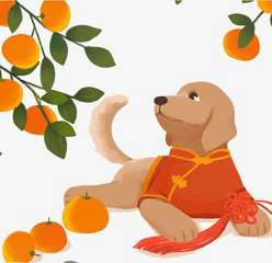 属狗的微信头像用啥好