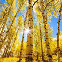 微信风景高清头像图片 不同风格的景色美不胜收