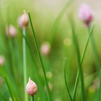 清新简约头像风景 钟意这种清新简约风