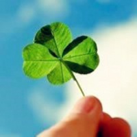 微信四叶草图片头像_代表幸运的四叶草