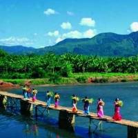 西双版纳摄影照片风景头像