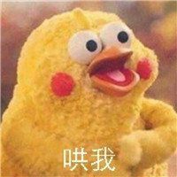 搞笑鸡头像