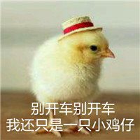 搞笑鸡头像