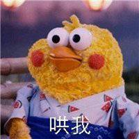 搞笑鸡头像