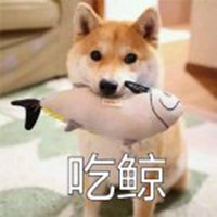 柴犬带字搞笑头像